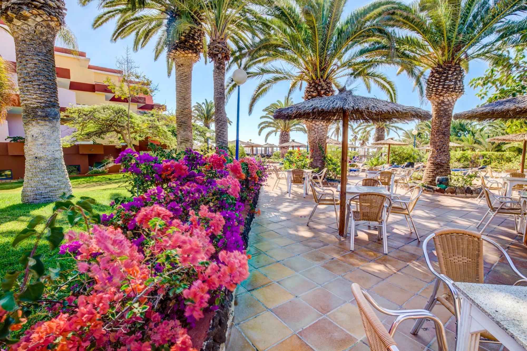 Sbh Fuerteventura Playa (Adults Only) Hotell Costa Calma Eksteriør bilde